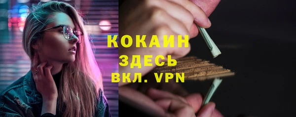 spice Богданович