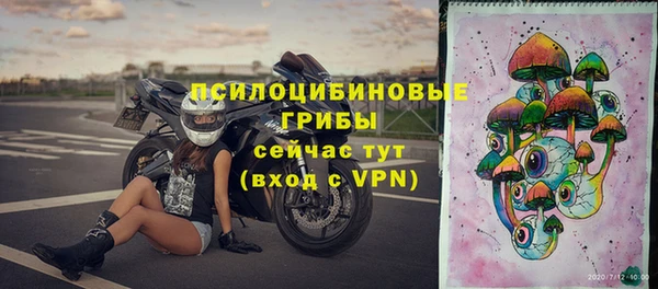 spice Богданович