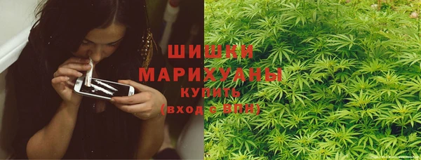 spice Богданович