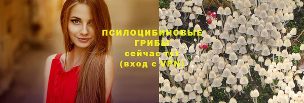 экстази Богородицк