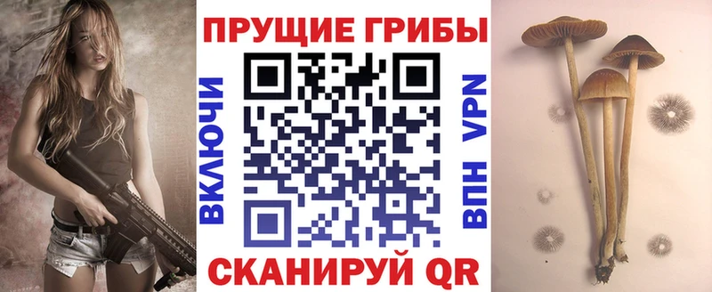 Псилоцибиновые грибы Magic Shrooms  Велиж 